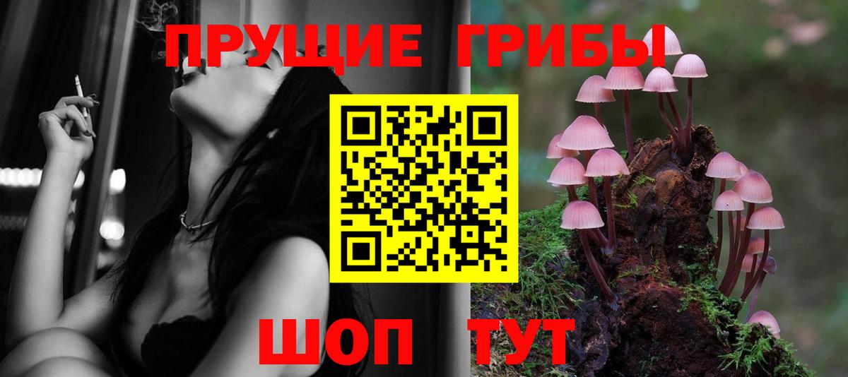 Галлюциногенные грибы Psilocybine cubensis Семилуки